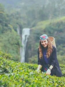 sri lanka tour expert images (22)