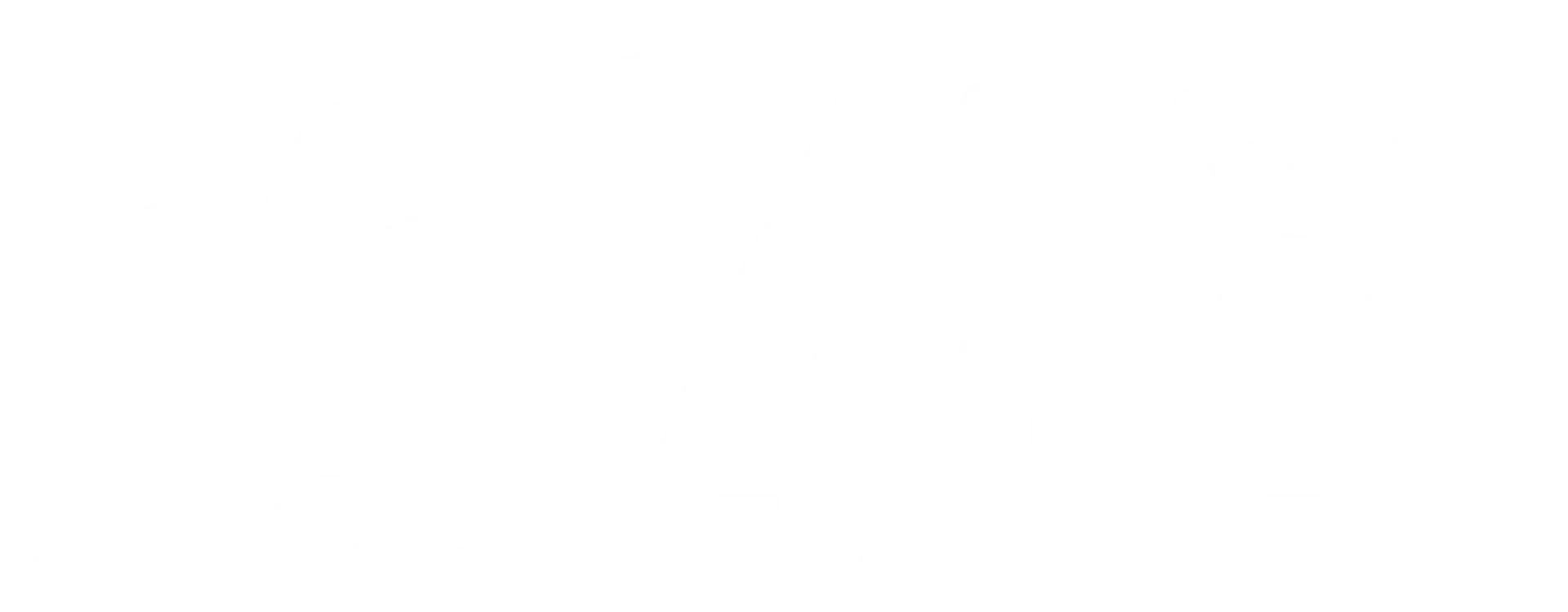 sri lanka tour expert logo white