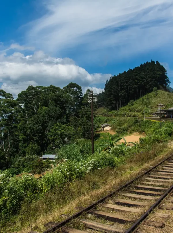 scenic train journey through lush green landscape lanka